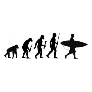 Rienda Libre Graphics - Decomural Surfing Evolution Surfboard Ws-42981