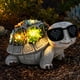 thumbnail image 1 of Estatua solar de tortuga para jardín Pawatee con luces LED de suculentas, 1 of 8