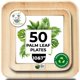 thumbnail image 1 of Plato desechable con hojas de palma Koala Love de 25 cm y 18 cm (50 unidades), 1 of 8