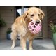 thumbnail image 3 of Pelota de rompecabezas para perros JW Pet Hol-ee Roller™ de caucho natural, 3 of 4
