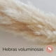 thumbnail image 4 of Ramo 10 Pampas Secas Decorativas, 4 of 8