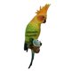 thumbnail image 5 of Simulación de loro pájaro escultura, pared B, 5 of 5