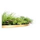 thumbnail image 4 of Jardin Vertical Valhalla, 4 of 4