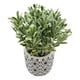 thumbnail image 2 of Planta Artificial Macetero Cerámica Vintage Flores Verdes, 2 of 4