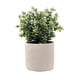 thumbnail image 1 of Mini Arbusto 34 cm, 1 of 1