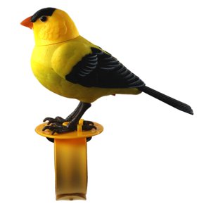 Magideal - Control De Voz Pájaro Operado Por Batería Loro Juguete Música Juguetes Educativos Niños Loro Parlante Lindo Cantando Pájaro Electrónico Juguete Color Aleatorio B