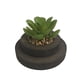 thumbnail image 2 of Planta Decorativa Artificial Suculenta Cupula, 2 of 4