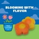 thumbnail image 3 of Galletas Para Perro Canine Carry Outs Spring Delight 127g Frutales, 3 of 3