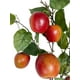 thumbnail image 3 of Rama De Manzana 95cm, 3 of 3
