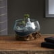 thumbnail image 3 of Terrarium Cohasset de vidrio fundido #658 -20, boca ancha, 20 cm, 3 of 4