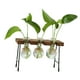 thumbnail image 2 of Florero Hidropónico Florero De Vidrio Florero Moderno Para El Hogar Sala De Estar Tres Botellas, 2 of 5
