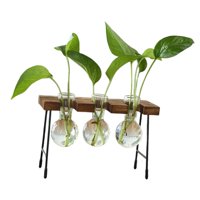 Magideal - 3 Piezas Jarrón Hidropónico Recipiente Plantas Vidrio Madera Terrario Ornamental Mesa Adecuado Para Balcón Dormitorio Sala Regalo Decoración Del Hogar Tres Botellas