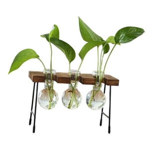 Magideal - 3 Piezas Jarrón Hidropónico Recipiente Plantas Vidrio Madera Terrario Ornamental Mesa Adecuado Para Balcón Dormitorio Sala Regalo Decoración Del Hogar Tres Botellas