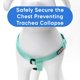 thumbnail image 5 of Chaleco Pawtitas Solid Step, ajustable y sin tirones para perros, 5 of 8