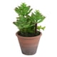 thumbnail image 2 of Planta Artificial Suculenta 20 cm, 2 of 2