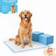 thumbnail image 1 of 60 PaÃ±ales Sabanillas Entrenamiento Absorbentes Mascota Perros y Gatos 60x90 cm, 1 of 5