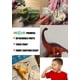 thumbnail image 3 of Figura de juguete RECUR Jumbo Brachiosaurus 52 cm Jurassic Kids 3+, 3 of 6