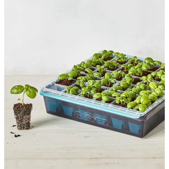 Bandeja Germinadora Burpee SuperSeed 36 Celdas Reutilizable