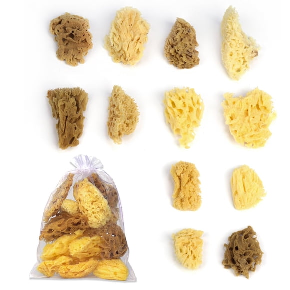 Esponja Utilitaria Horsdo Pack de 12 Natural y Segura para Niños