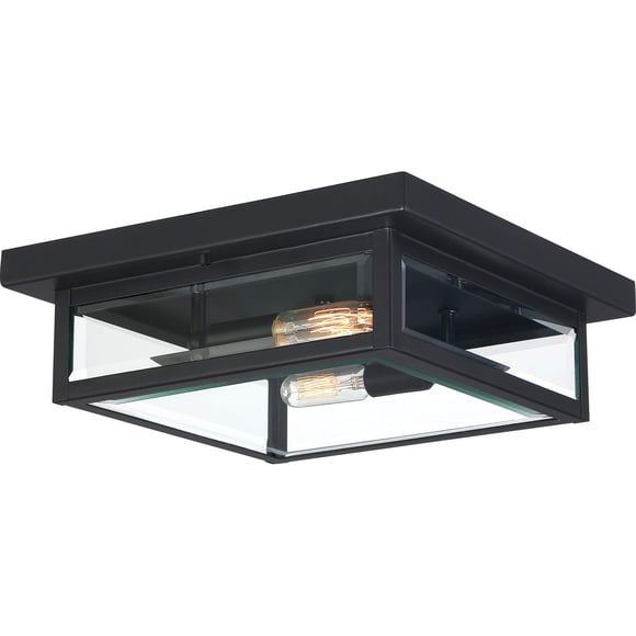 Quoizel Westover Luminaria de techo de montaje al ras para exteriores de 12" (Earth Black)
