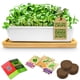 thumbnail image 1 of Kit de cultivo de microgreens ZESTIGREENS con maceta de cerámica, 1 of 7