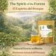 thumbnail image 2 of Té de hierbas B-Experts Axocopaque 24 sobres 2000 mg vegano, 2 of 9
