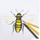 thumbnail image 3 of Juego de bolígrafos Pentel Arts S360-12, 12 colores, tinta a base de agua, 3 of 6