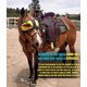 thumbnail image 4 of Gafas de Montar a Caballo eVysor Espejadas Naranja con Protección UV, 4 of 9