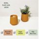 thumbnail image 3 of Candle Modern Sprout Rooted, 2 en 1, con aroma a madera de cedro y lavanda, 3 of 9