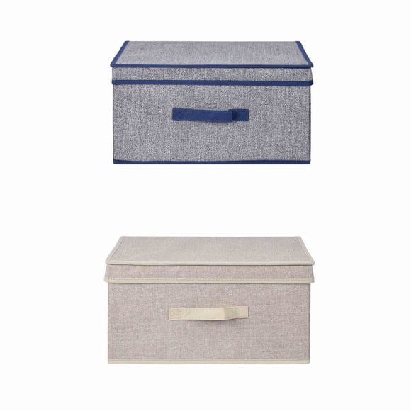 Caja Organizadora con tapa 40x30cm, color surtido 1 un
