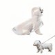 thumbnail image 1 of Poncho de lluvia para perro BUBBLE-FLY Talla Mediana Transparente 4-8 lb (1,8-3,6 kg), 1 of 9