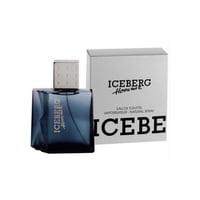 Perfume Iceberg Homme Aromatic Fougere Edt 100 Ml Para Hombre