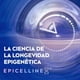thumbnail image 3 of Crema de noche Epigenetic Rejuvenecedora, 50 mL, 3 of 7