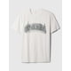 thumbnail image 4 of Camiseta GAP Carls Stone para hombre talla S, 4 of 4