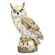 thumbnail image 2 of Señuelo De Búho Simulado De Resina, Estatua Disuasoria De Aves, Espantapájaros Duradero Y Vivo, 2 of 4