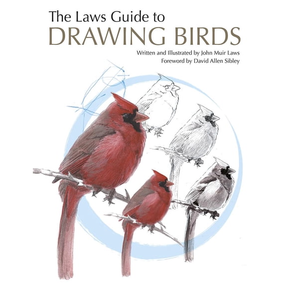 Libro Heyday La Guía Laws para Dibujar Pájaros