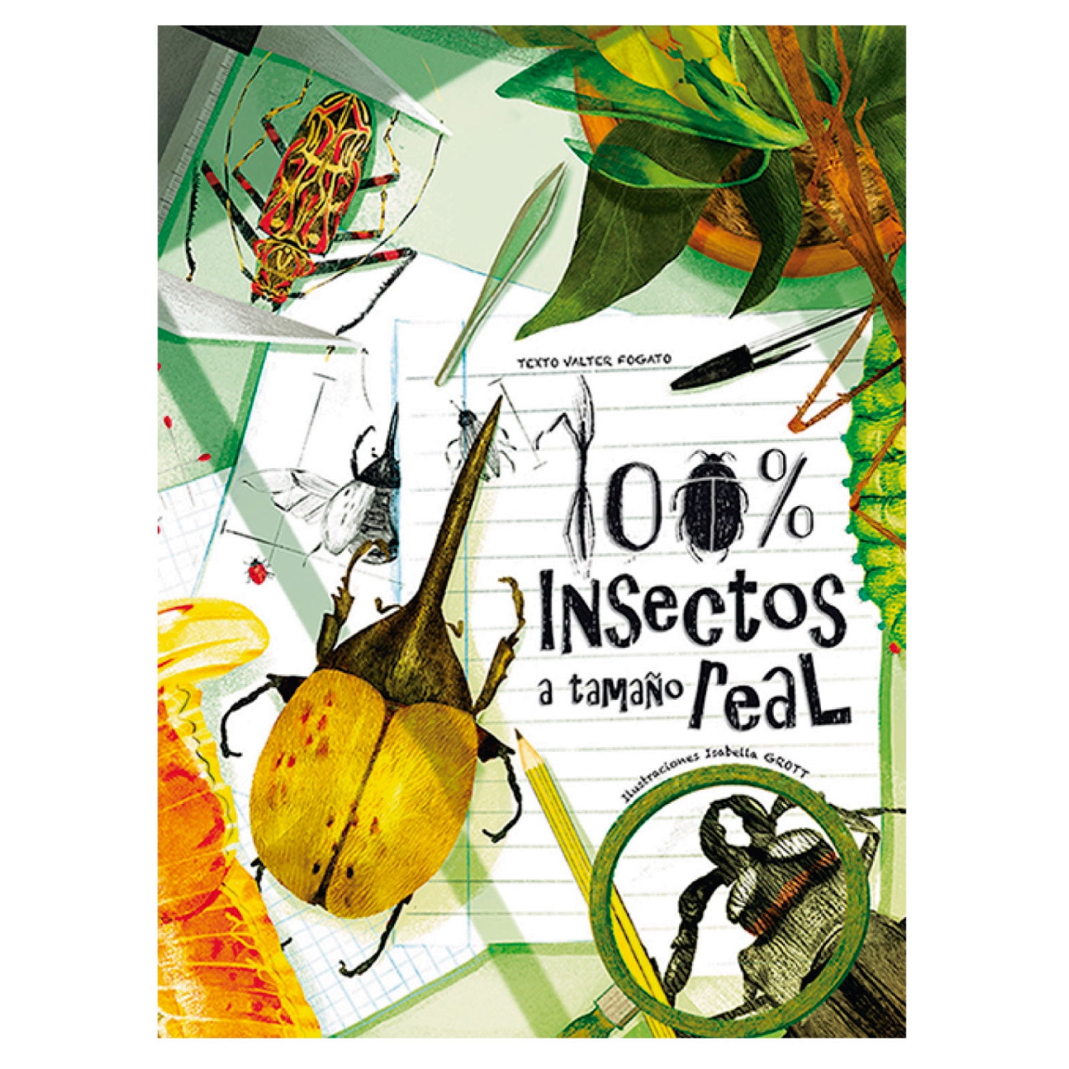 Libro 100% Insectos A Tamaño Real | Lider
