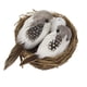 thumbnail image 3 of Pájaro Artificial Heno Nido Y Plumas Pájaros De Espuma Y Huevo De Aves Para La Decoración Del árbol Del Hogar, 3 of 5
