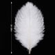 thumbnail image 4 of Plumas de avestruz Larryhot blancas 41‑46 cm, 10 piezas, 4 of 7