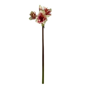 Corel - Amaryllis Rosa-Blanca Realista 83Cm