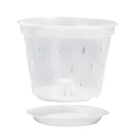 Ioensy - Maceta Para Orquídeas, Macetero Transparente Para Trasplantar Plantas De Flores, 5 Pulgadas Con Platillo