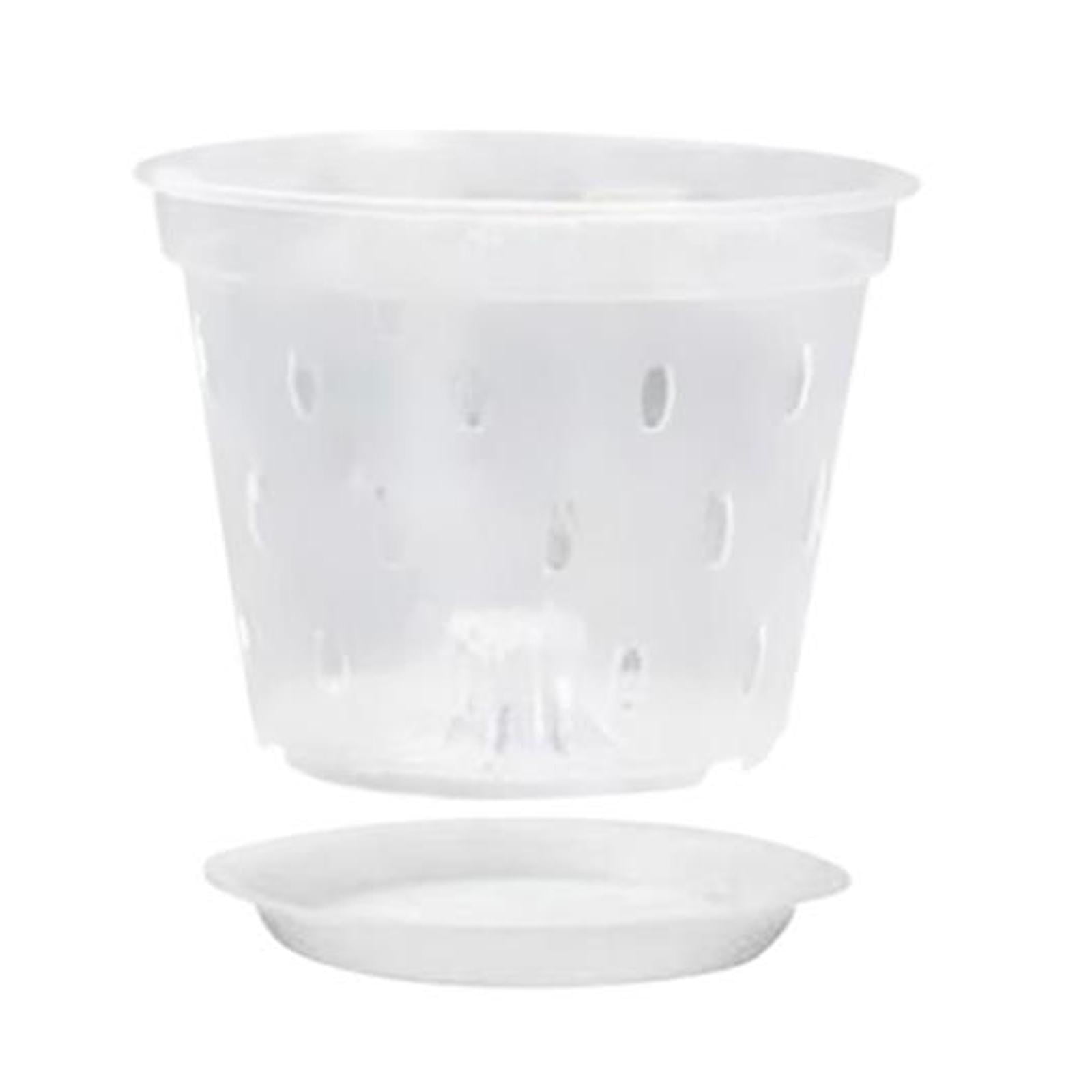 Ioensy - Maceta Para Orquídeas, Macetero Transparente Para Trasplantar Plantas De Flores, 5 Pulgadas Con Platillo