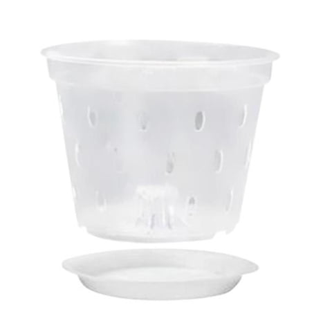 Ioensy - Maceta Para Orquídeas, Macetero Transparente Para Trasplantar Plantas De Flores, 5 Pulgadas Con Platillo