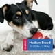thumbnail image 2 of Dog Toy Classic Stuffable Fetch Chew Para Perros Medianos, 2 of 9