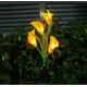 thumbnail image 3 of Lámpara tulipan solar Led para césped con 4 luces de cala de 70 cm, 3 of 3
