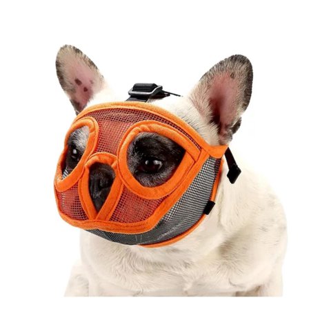 Genérico - Bozal Para Shih-Tzu O Pequinés Branquicefalos 6 - 9Kg Naranja S