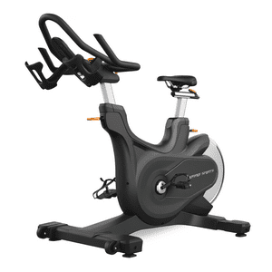 Sacrifice Sports - Bicicleta Spinning Magnética Profesional D06