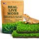 thumbnail image 1 of Musgo Vivo LUCKYRUNES para Terrarios Reptiles 50 inaa, 1 of 3