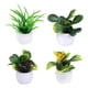 thumbnail image 2 of 4x Mini Casa De Muñecas Plantas En Macetas De Plástico Jardín De Hadas Para Decoración De Casa De Muñecas, 2 of 5