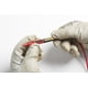 thumbnail image 5 of Puntas de sonda Test Leads TL175 Twistguard de 2 mm de diámetro, 5 of 8